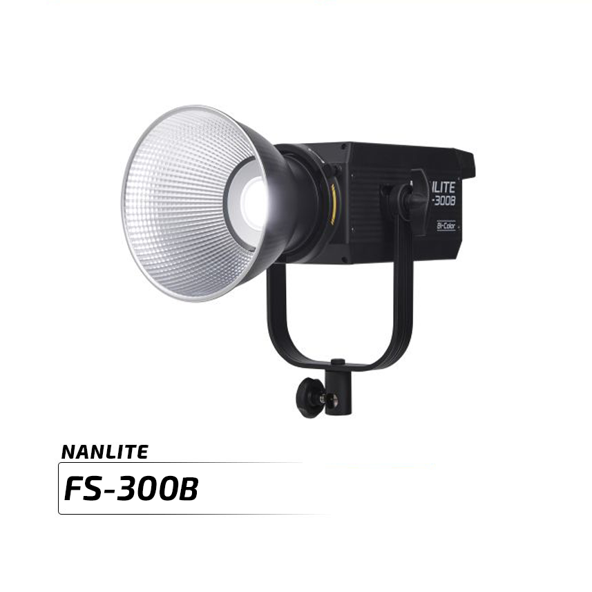 FS 300B