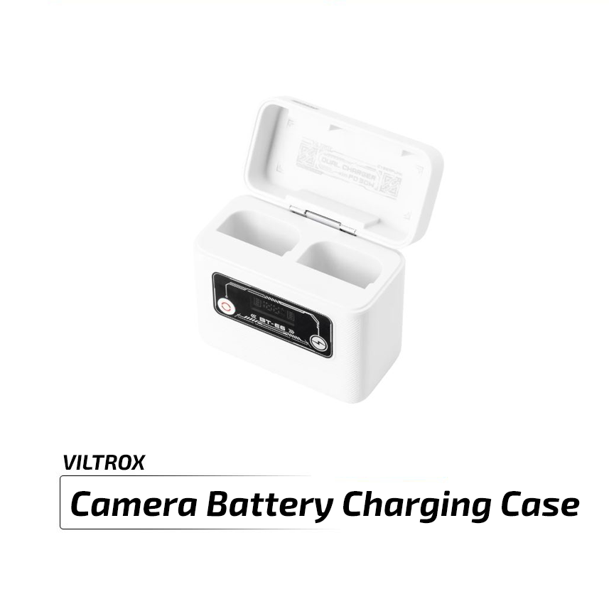 Fz100 battery charging case